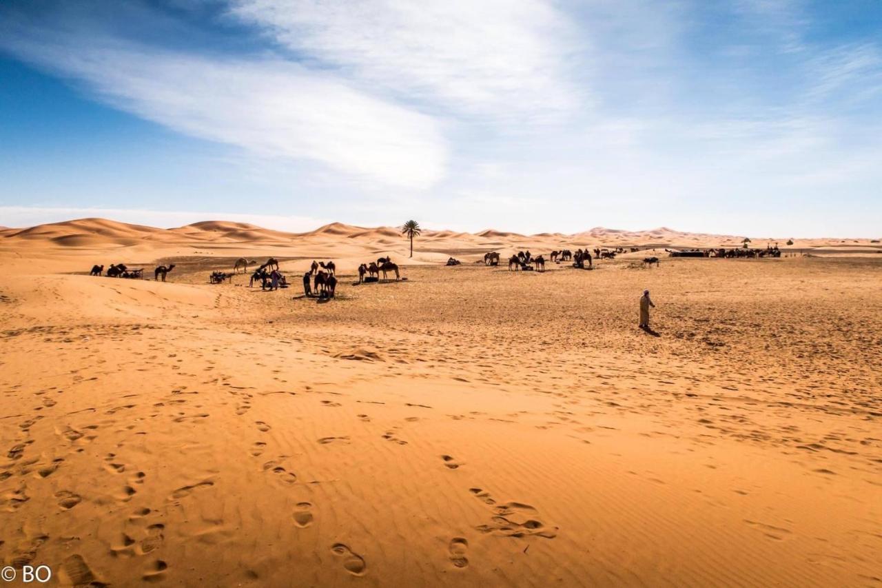 Sahara Wellness Camp Bed & Breakfast Merzouga Luaran gambar